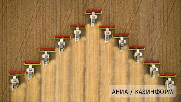 Казахстан вошел в число крупнейших производителей пшеницы в мире с долей 2,3%