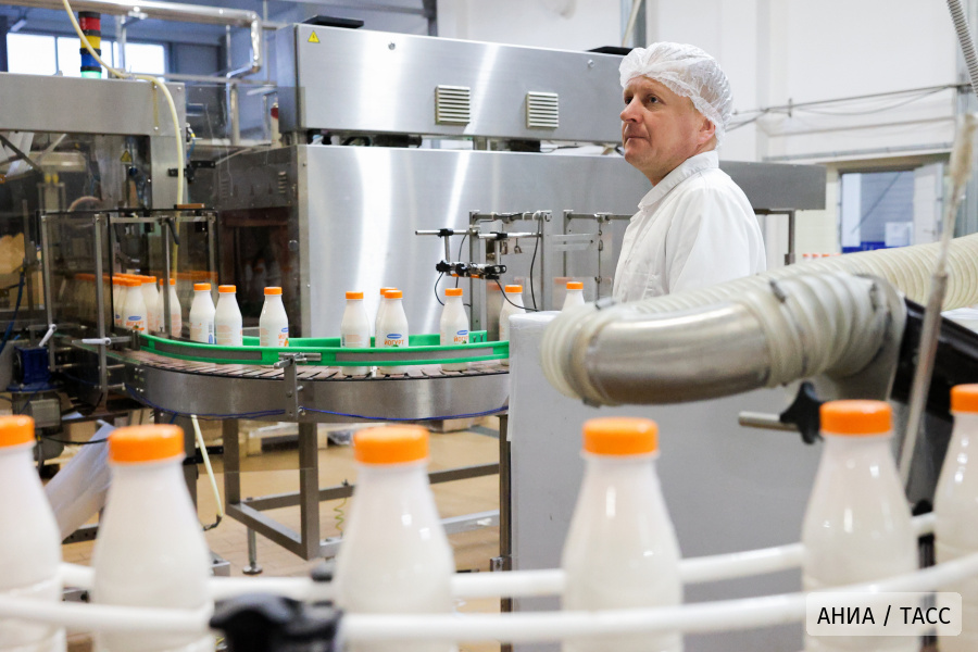 Россия в январе - мае 2026 года увеличила экспорт молочной продукции на 14%