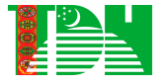 Государственное информационное агентство Туркменистана (TDH)