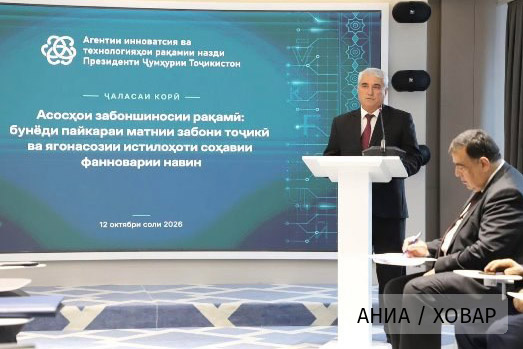 В Таджикистане обсудили создание цифровой текстовой базы таджикского языка